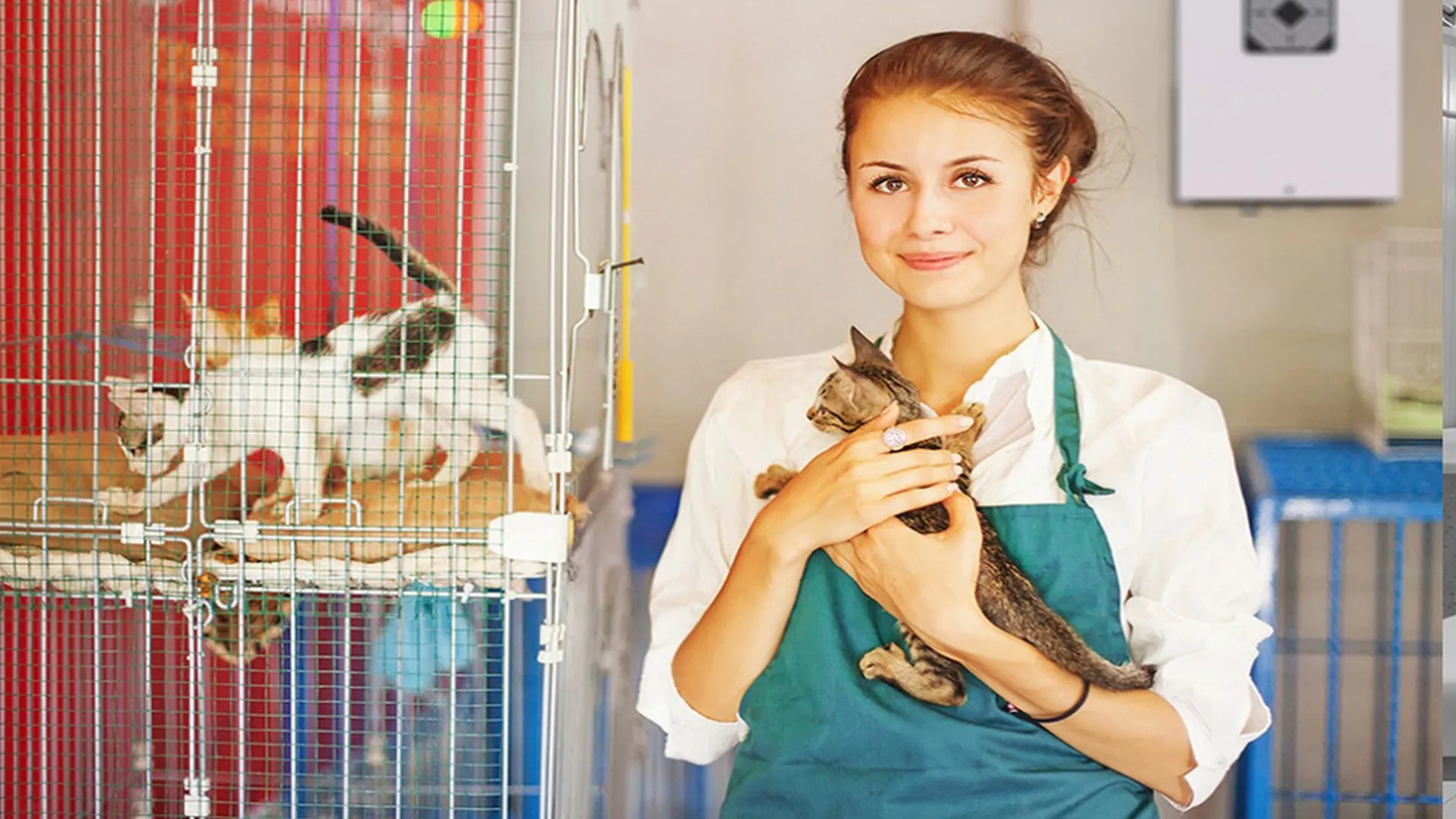 Cold plasma air purifier Jonix STEEL is also suitable for public spaces